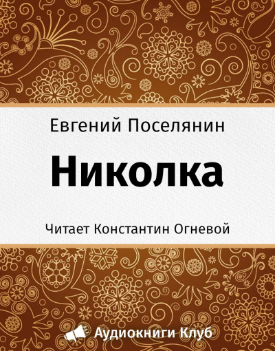 Постер книги Николка