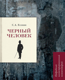 Постер книги Чёрный человек