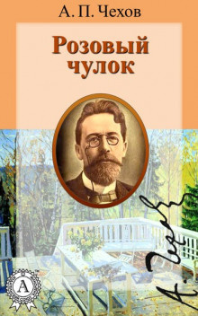 Постер книги Розовый чулок