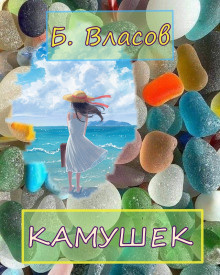 Постер книги Камушек