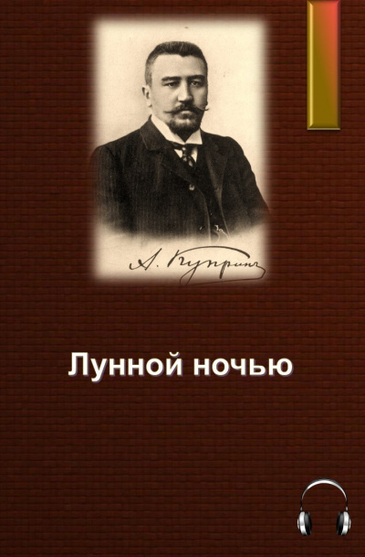 Постер книги Лунной ночью