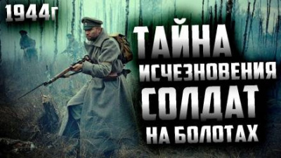 Постер книги Огни над болотом