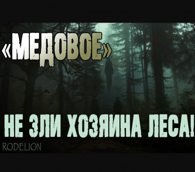 Постер книги Медовое