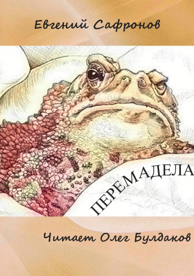 Постер книги Перемадела