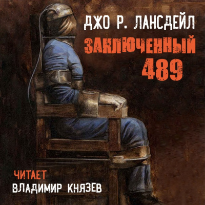 Постер книги Заключенный 489