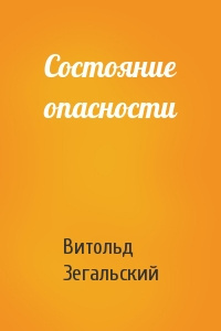 Постер книги Состояние опасности