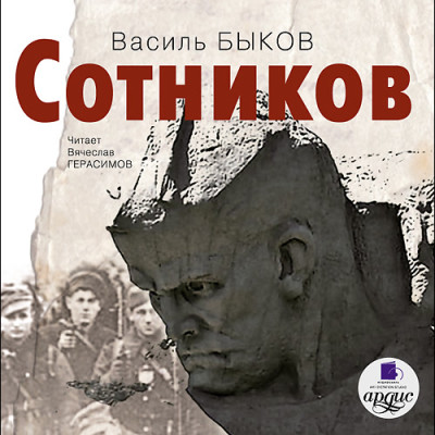 Постер книги Сотников