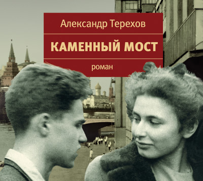 Постер книги Каменный мост