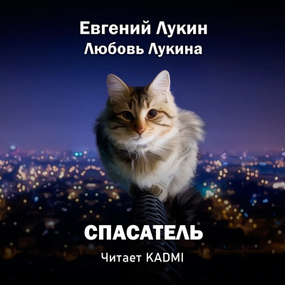 Постер книги Спасатель