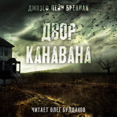 Постер книги Двор Канавана