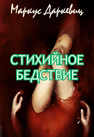 Постер книги Стихийное бедствие