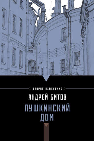 Постер книги Пушкинский дом