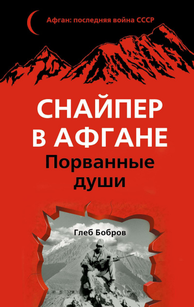 Постер книги Порванные души