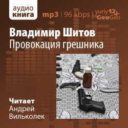 Постер книги Провокация грешника