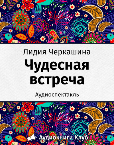 Постер книги Чудесная встреча