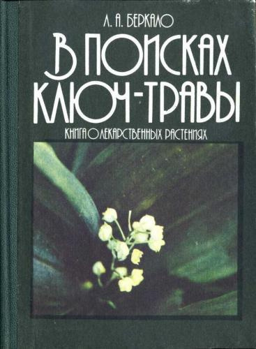 Постер книги В поисках ключ-травы