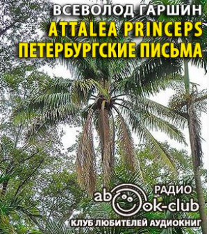 Постер книги Аttalea princeps. Петербургские письма