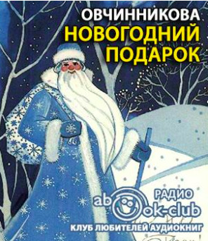 Постер книги Новогодний подарок