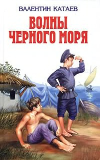 Постер книги Зимний ветер