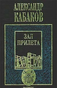 Постер книги Зал прилёта