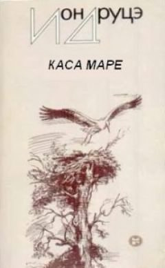 Постер книги Каса маре