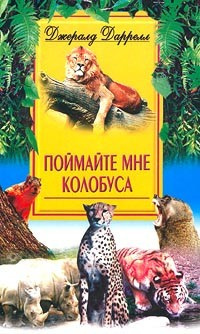 Постер книги Поймайте мне колобуса