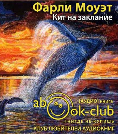 Постер книги Кит на заклание