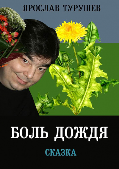 Постер книги Боль дождя