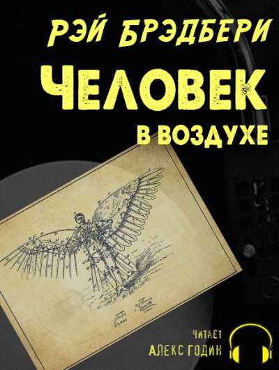 Постер книги Человек в воздухе