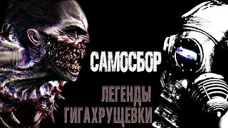 Постер книги Самосбор