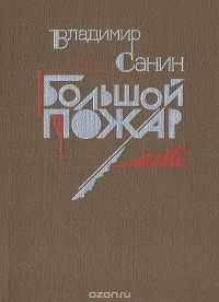 Постер книги Большой пожар