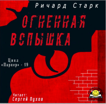 Постер книги Огненная вспышка