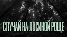 Постер книги Случай на Лосиной Роще