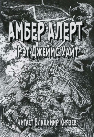 Постер книги Амбер Алерт