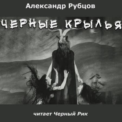 Постер книги Чёрные крылья