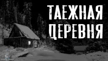 Постер книги Таежная деревня