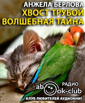 Постер книги Хвост трубой. Волшебная тайна