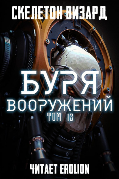 Постер книги Буря Вооружений. Том 13