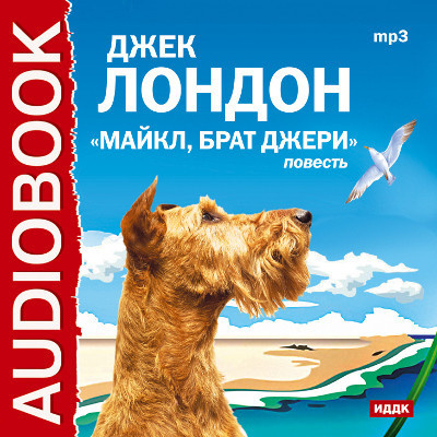 Постер книги Майкл, брат Джерри