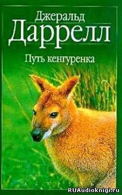 Постер книги Путь кенгуренка