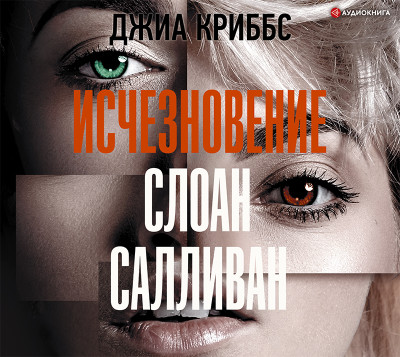 Постер книги Исчезновение Слоан Салливан