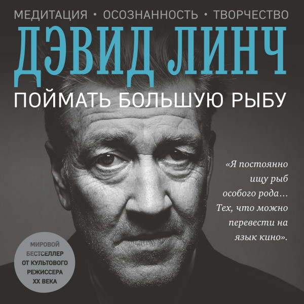 Постер книги Поймать большую рыбу: медитация, осознанность и творчество