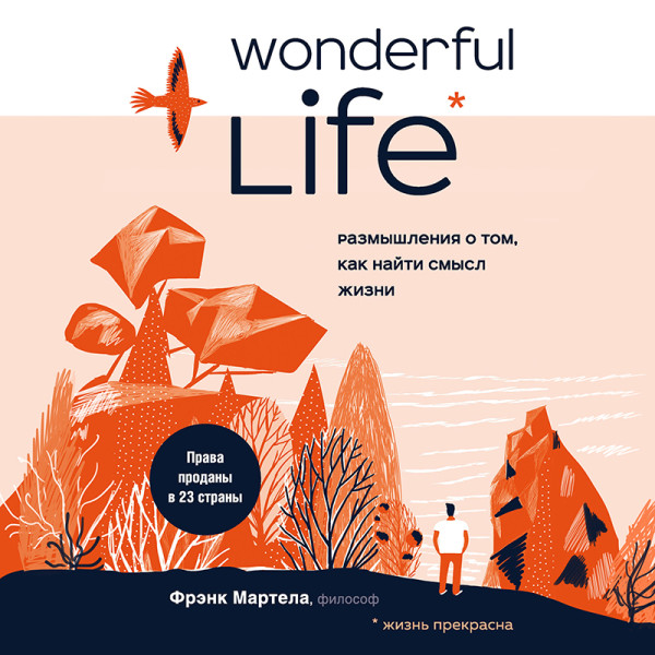 Постер книги Wonderful Life. Размышления о том, как найти смысл жизни