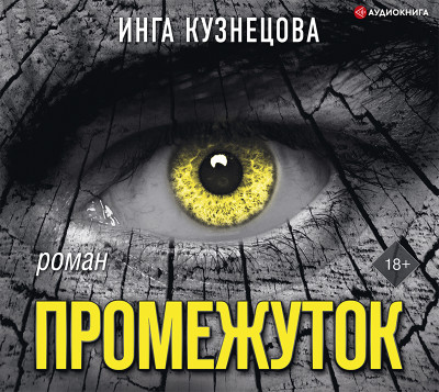 Постер книги Промежуток