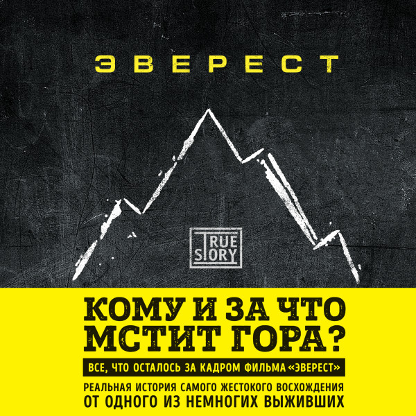 Постер книги Эверест. Кому и за что мстит гора?