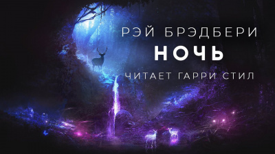 Постер книги Ночь