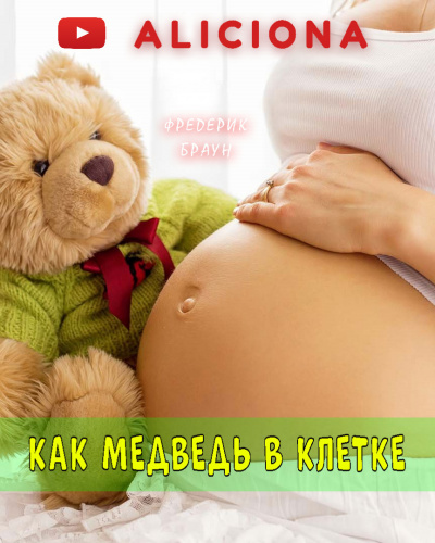 Постер книги Как медведь в клетке