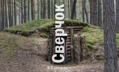 Постер книги Сверчок