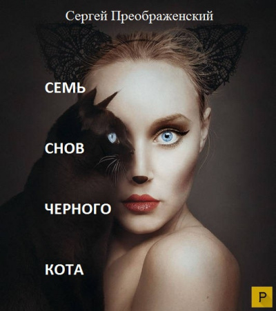 Постер книги Семь снов черного кота. Сон первый