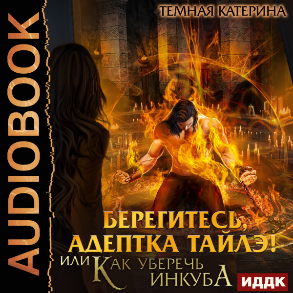 Постер книги Берегитесь, адептка Тайлэ! или Как уберечь инкуба